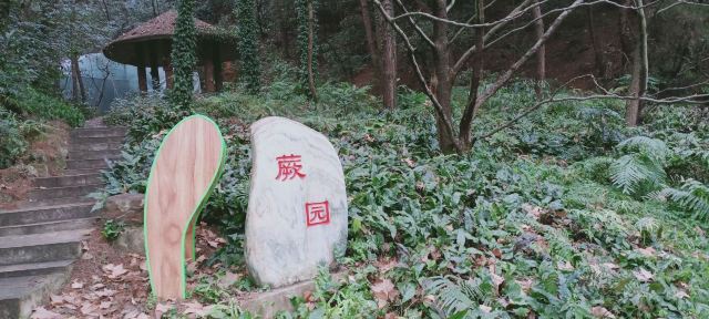 贵阳药用植物园旅行图片 8