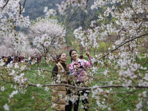 高岚大峡谷旅游度假区