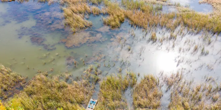 鄭州黃河國家濕地公園