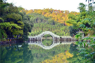肇庆有一处治愈式风景最适合五一假期去放飞宅在城市日久的心情