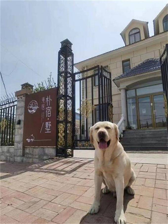 天津薊州漫居樸宿民宿，矗立於山崖之上，躲在星空泡泡屋超浪漫。