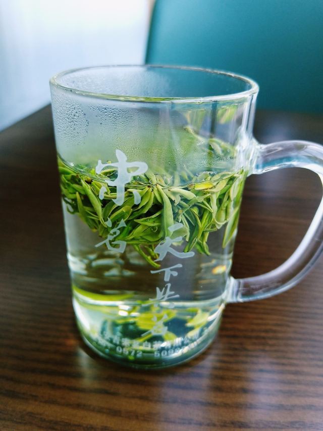 宋茗茶博园旅行图片 5