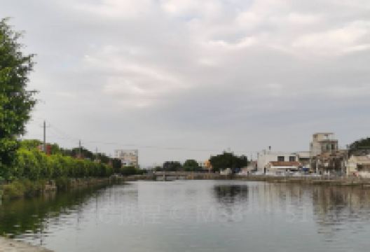 龙港公园景点图片