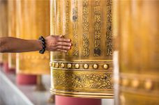 龙口南山旅游景区-龙口-C-IMAGE