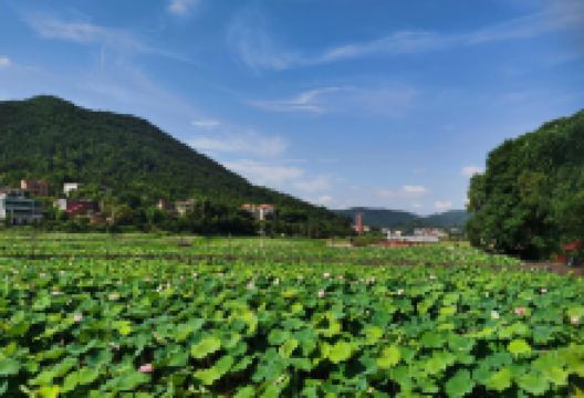 湘西草堂景点图片