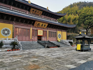 老余杭地区游记图文-杭州登山线路之廿九：东明山森林公园行迹