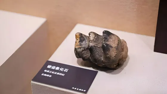 師宗縣博物館