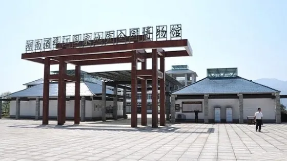 酒埠江國際地質公園博物館