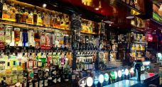 The Temple Bar Pub-都柏林