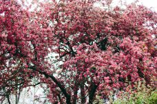 黄金海岸生态旅游度假区-莱州