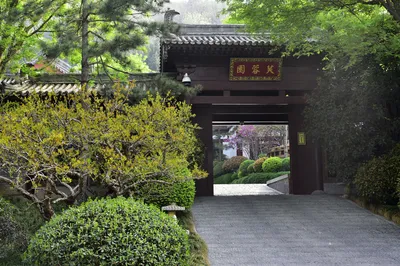 华清宫景区-芙蓉园