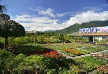 宝岛花园购物图片