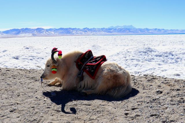念青唐古拉山旅行图片 2