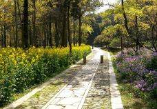 林州天平山风景区-林州-一杯清茶看春秋！