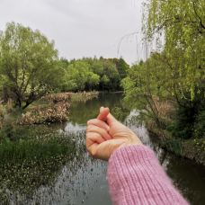 白马湖旅游度假区-淮安-tt梦幻小妖