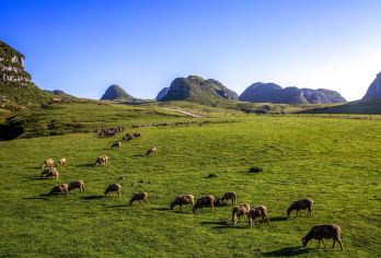 阿西里西韭菜坪+阿西里西大草原一日游【上门接送.无购物】【纯玩-无购物】