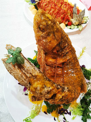 “葵峰”泉水生态瘦身鱼食材品鉴会在南宁完美举行