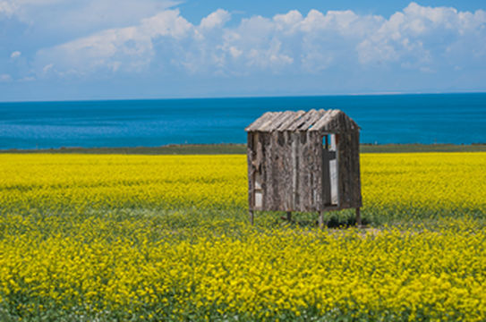自驾环游大西北,越野露营神奇之旅