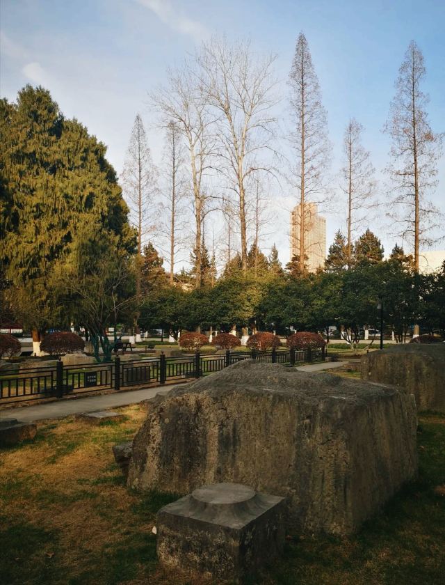 午朝门公园旅行图片 4