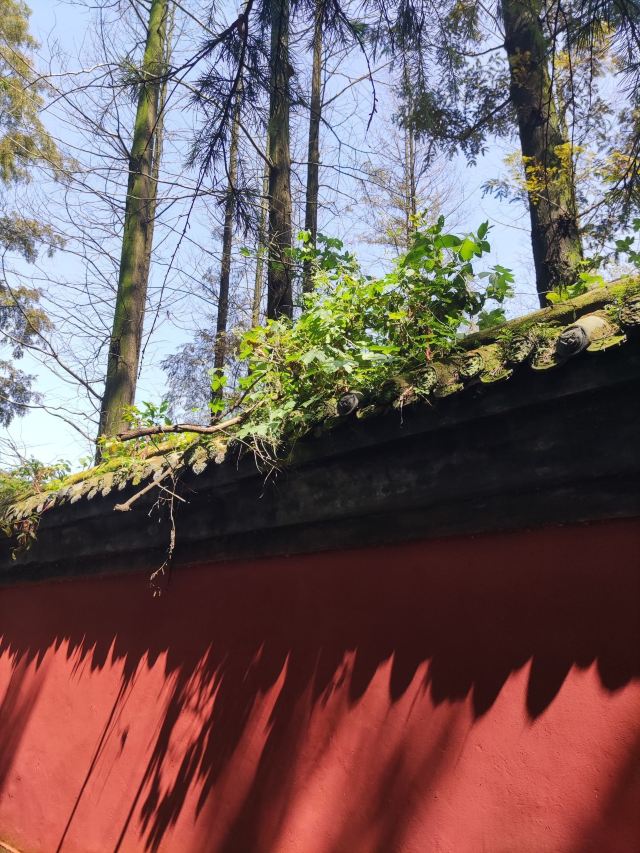 勑赐广德寺旅行图片 10