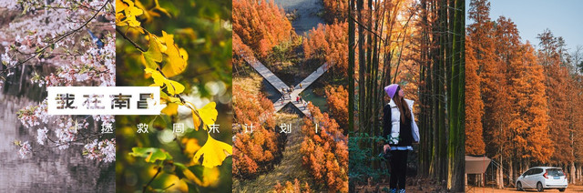 春花灿.秋意浓，玩好南昌的近郊