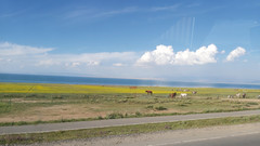 兰州游记图片] 遇见河西走廊