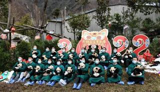 超萌来袭!你有一份“国宝级”新春祝福,请查收→