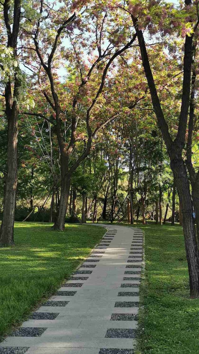 四得公园旅行图片 3
