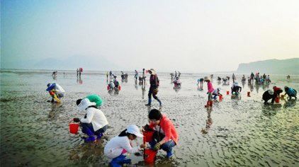 赶海一号旅行图片 1