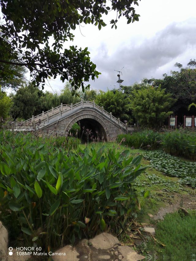 洱海月湿地公园旅行图片 6