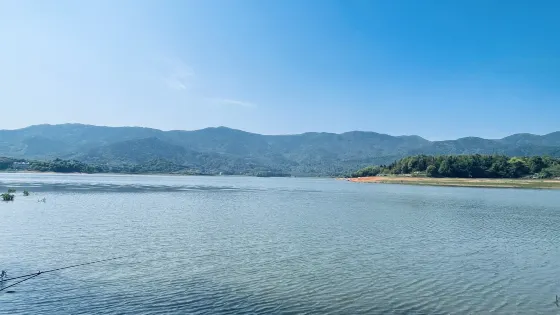夢山