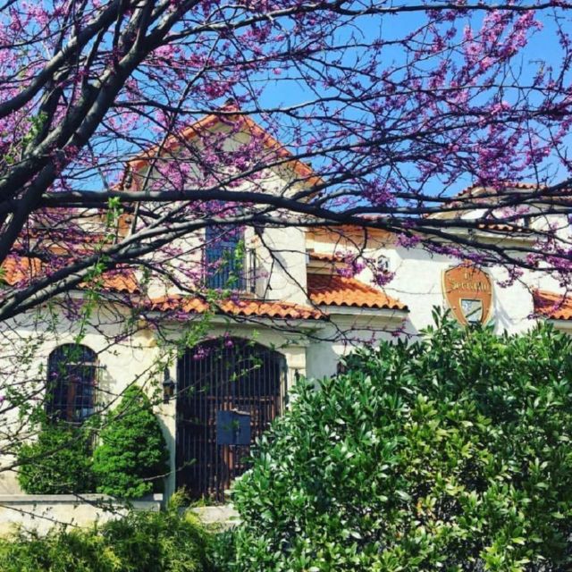 El Serrano餐厅图片