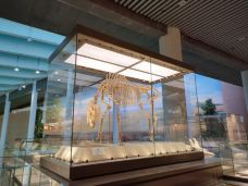 和政古生物化石文旅旅游区·古动物化石博物馆-和政
