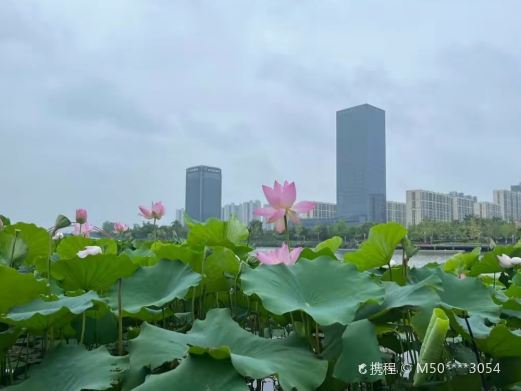 龙游河生态公园