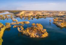 罗布人村寨景点图片