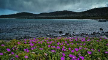 Freycinet National Park