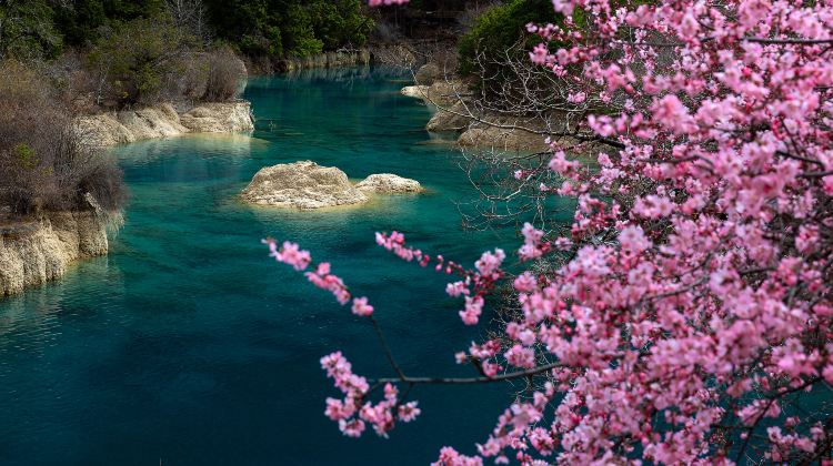 3D2N · Private Tours · Panda + Sanxingdui + Jiuzhaigou + Huanglong - Summer Escape, High-Speed Rail