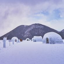 带广图片