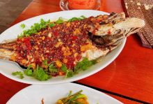 自然餐厅美食图片