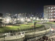 Unjeong Lake Park-坡州市-緑呢喃