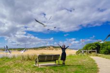 瓦南布尔-瓦南布尔-优的良仕