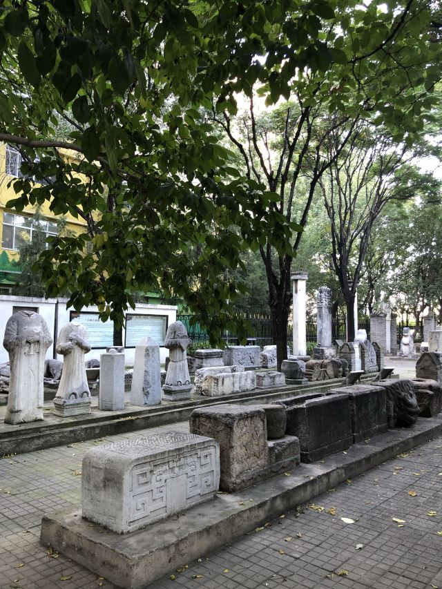 昌平公园旅行图片 4