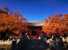 香山公园-北京-qtrqqcl