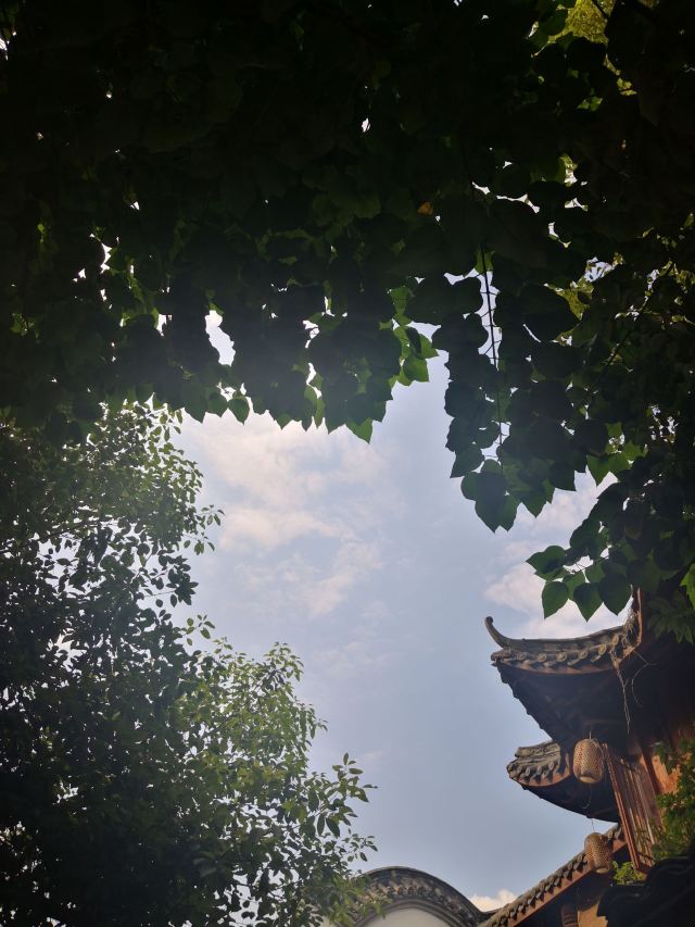崇德园旅行图片 3