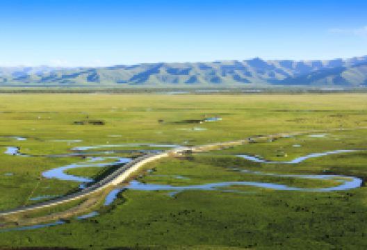 阿万仓湿地景点图片