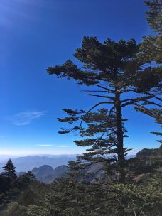 轿子雪山-禄劝-是奶茶吧