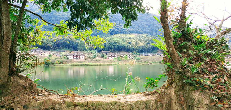 研学友聚醉佳线 美丽乡村永泰行