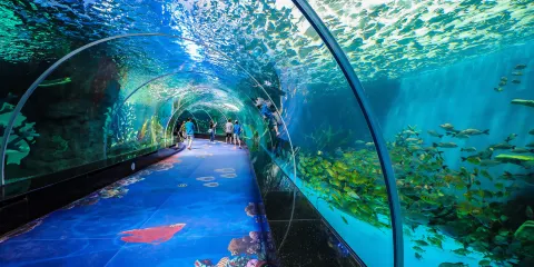 永泰歐樂堡海洋世界