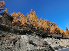 甘孜俄初山-稻城-格格巴