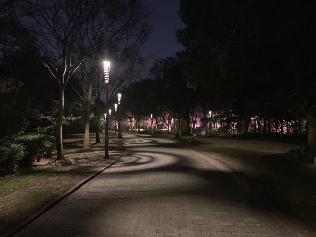 思贤公园旅行图片 2